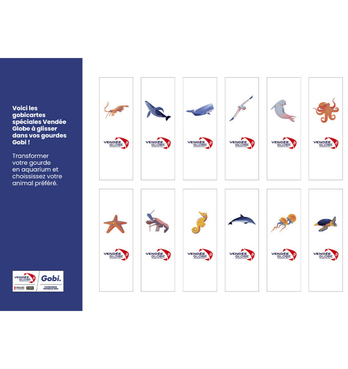 Gourde Gobi Craie / Gris | Vendée Globe